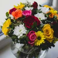 Floriculture